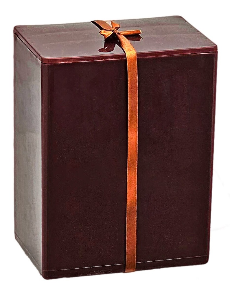 Plastic Temporary Urns (Case of 24)